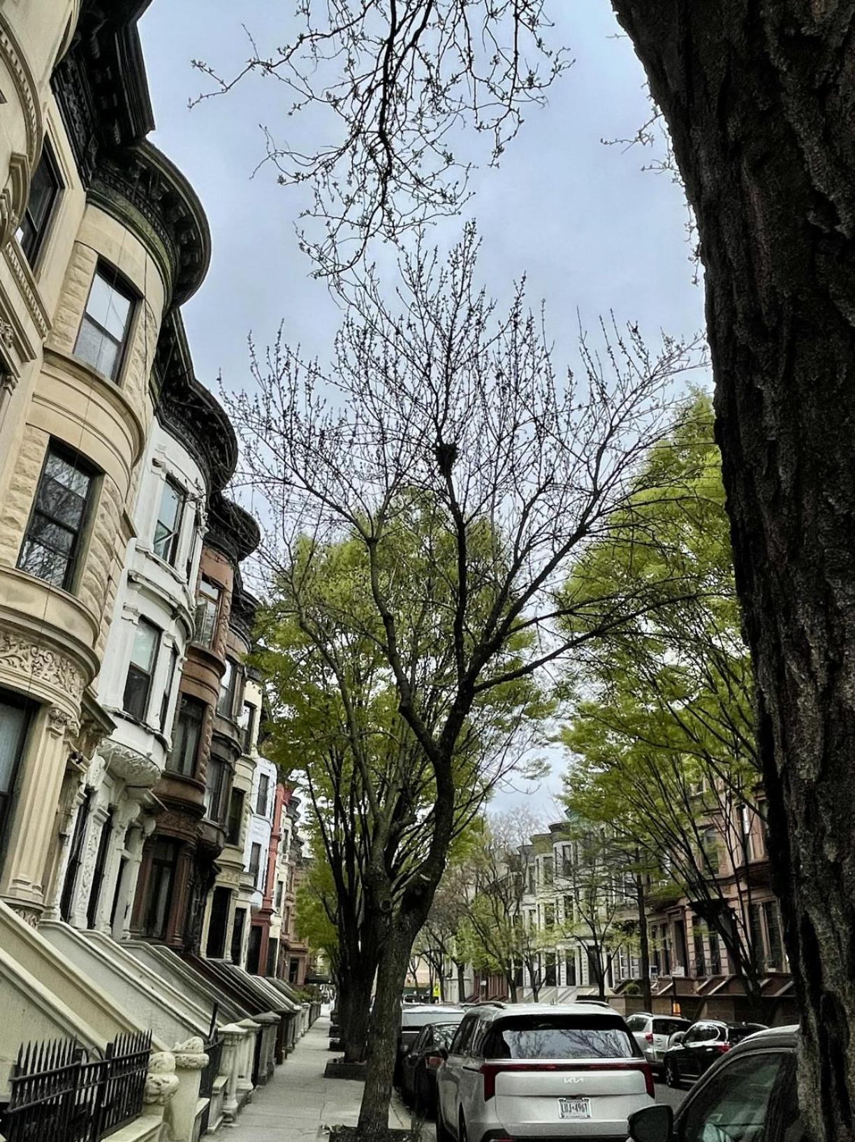 Nyc Townhouse Apartment نيو يورك المظهر الخارجي الصورة