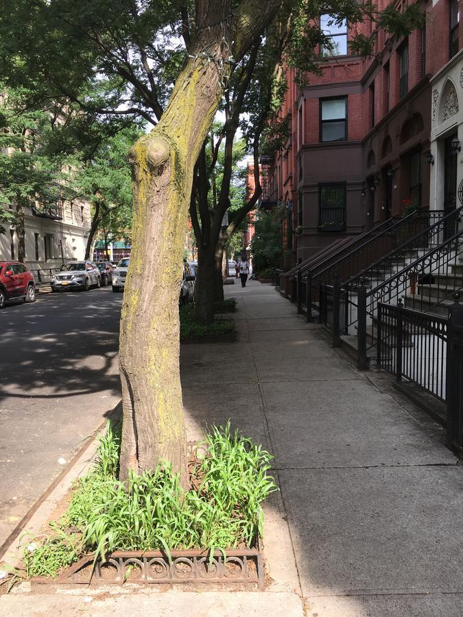 Nyc Townhouse Apartment نيو يورك المظهر الخارجي الصورة